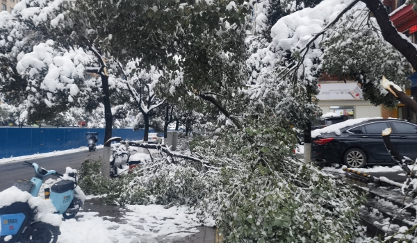 抗擊冰雪，他們在行動